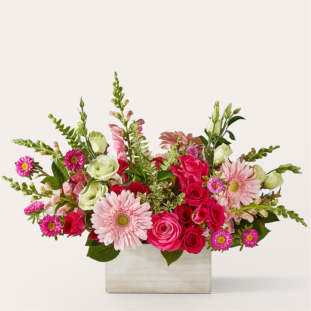 Ramo Demasiado Tierno