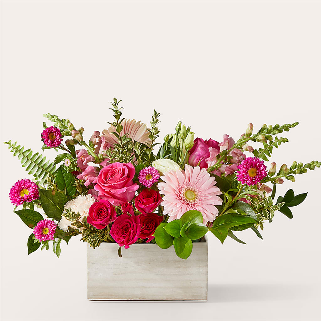 Ramo Demasiado Tierno